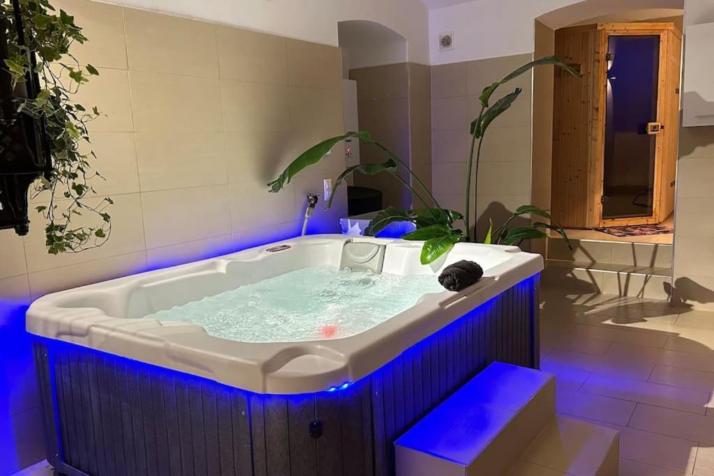 Apartment African Paradise With Jacuzzi & Sauna