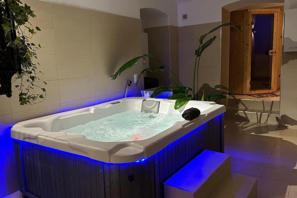 Apartment African Paradise With Jacuzzi & Sauna *