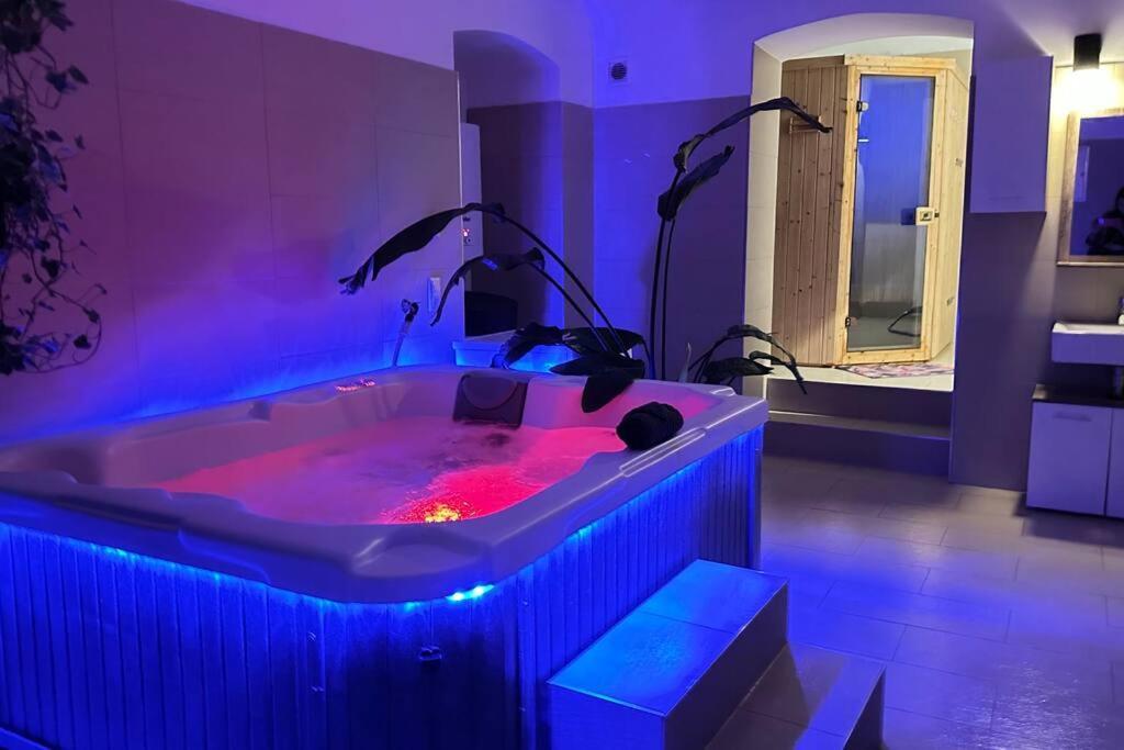 Apartment African Paradise With Jacuzzi & Sauna Vienna